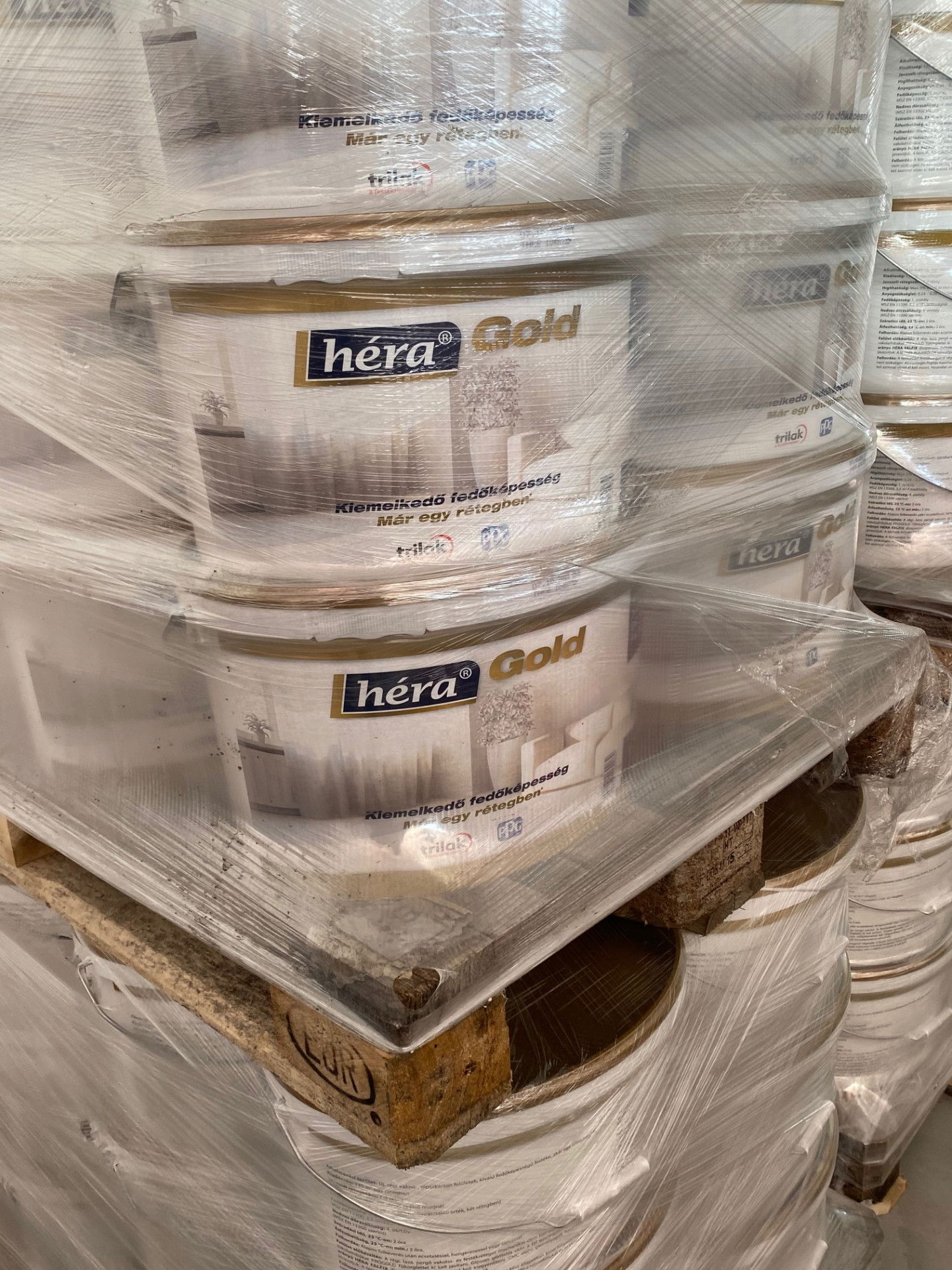 Héra Gold  beltéri falfesték 15l raklapos ár 24db/raklap termék fő termékképe