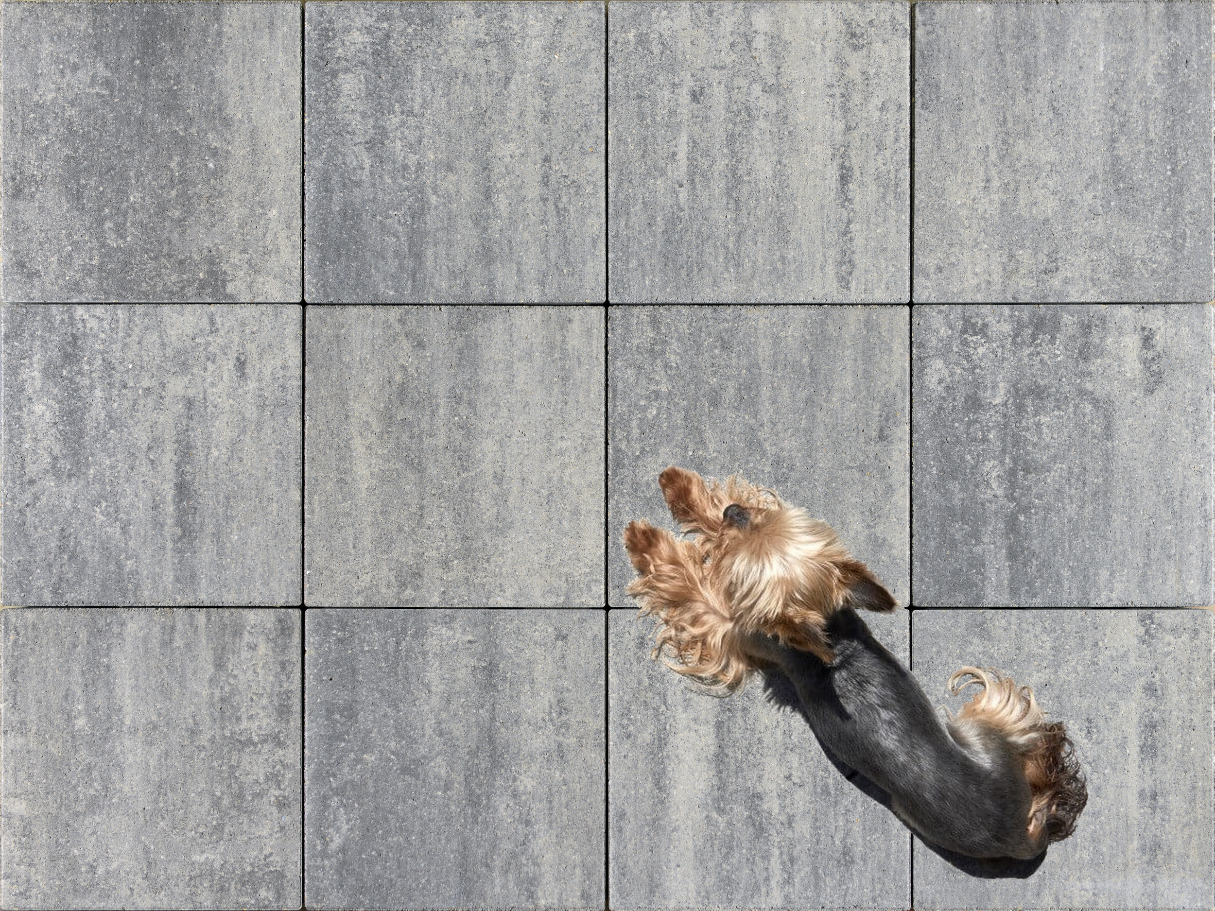City Stone Design Ambia Naturo Uni Granito térkő termék fő termékképe